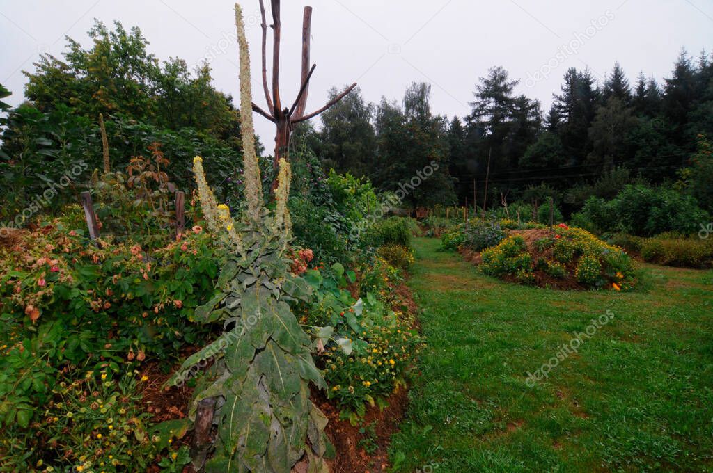 Raised bed gardening for vegetable cultivation in a big green garden