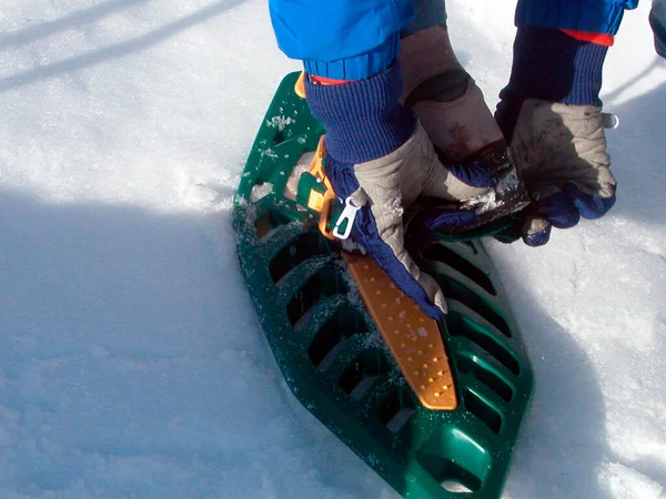 アルプスの雪の中を歩くためにスノーシューを履いて — ストック写真