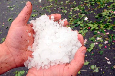 Dolu fırtınasından sonra ellerinde büyük dolu taşları tutuyorlardı.