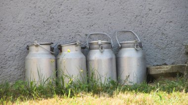 Süt konservelerinde taze inek sütü.