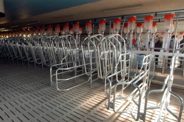 Modern, boş bir domuz ahırı, metal çitlerle çevrili.
