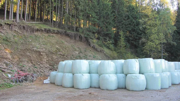 Haylage Bales Field Summer Animal Feed Agriculture — Stock Photo, Image