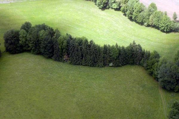 Grüne Wiesenlandschaft Sommer Einem Sonnigen Tag — Stockfoto