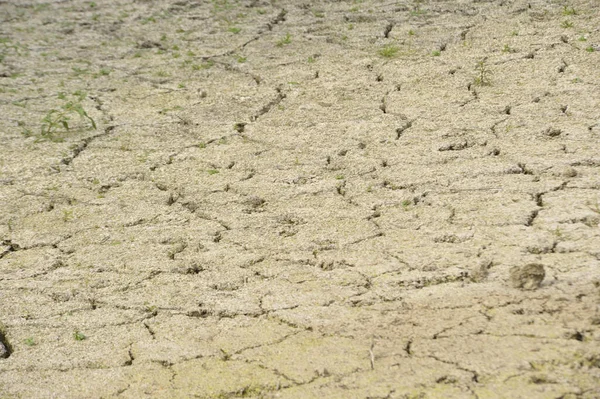 Assèchement Sol Période Chaleur Sécheresse Été — Photo