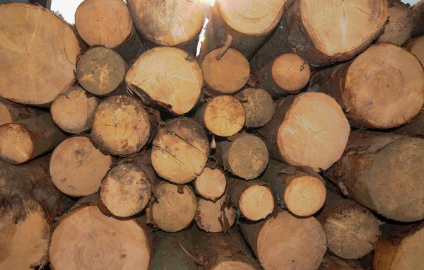 stacking of wood on a truck before transport and further processing