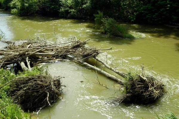 洪水中的河流 自然界的一种破坏性现象 — 图库照片