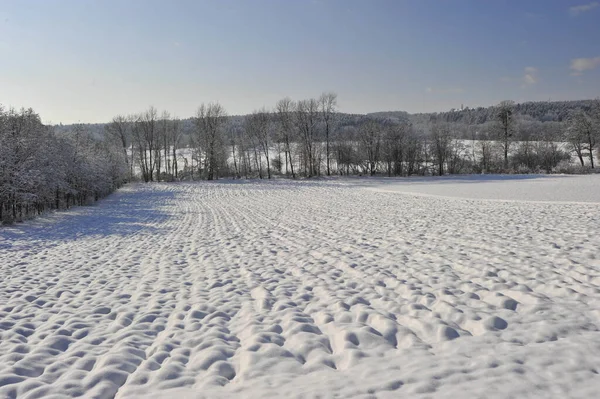 Agriculture Arable Sous Couverture Neige Paysage Blanc Hiver — Photo