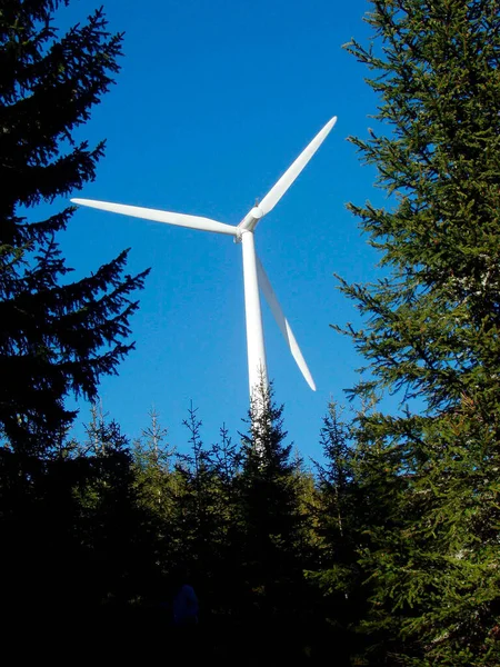 Turbina Eolica Produzione Energia Sfondo Cielo Blu Alberi — Foto Stock