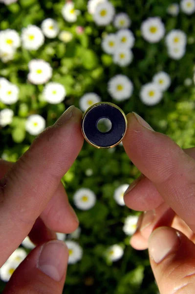 fingers holding small round object, white flowers and green leaves blurred in background, human tactile and haptic perception