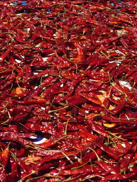 Muchos Chiles Rojos Secos Con Tallos Verdes Especias Picantes — Foto de Stock