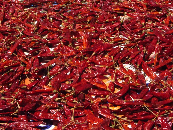 Muchos Chiles Rojos Secos Con Tallos Verdes Especias Picantes — Foto de Stock