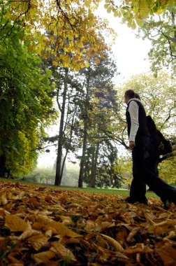 Sonbaharda, sonbahar yapraklarıyla parkta yürüyen çift.