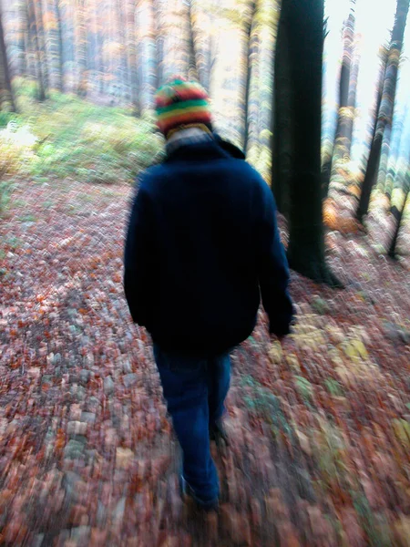 Persona Caminando Aire Libre Bosque Otoño Hojas Otoño Suelo — Foto de Stock