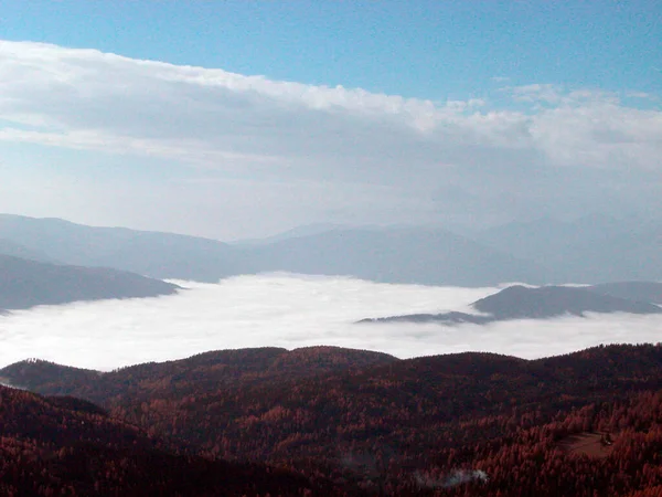 Nevoeiro Outono Nas Montanhas Árvores Véu Nevoeiro — Fotografia de Stock