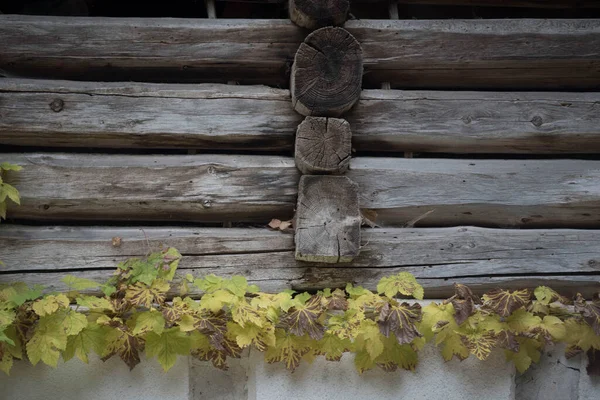 ログハウス上の木の接続や木の関節 — ストック写真
