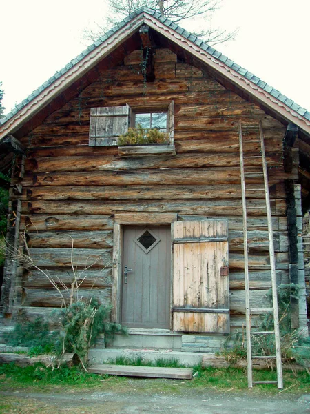 Cabaña Madera Los Alpes Con Una Escalera Apoyada Pared — Foto de Stock