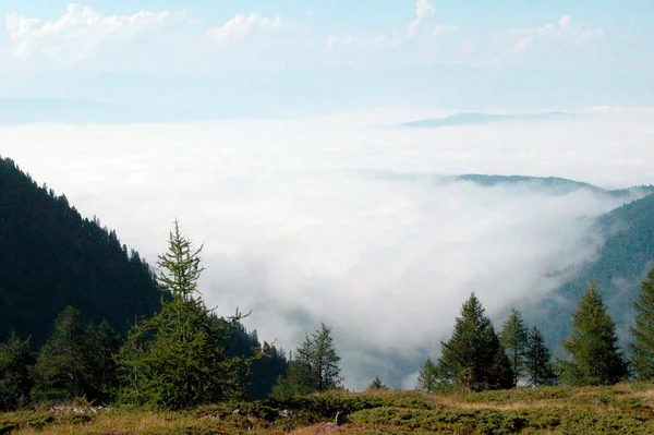 Autumn Fog Mountains Trees Veil Fog — Stock Photo, Image