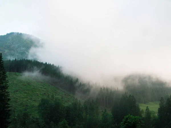Brouillard Automne Dans Les Montagnes Des Arbres Voile Brouillard — Photo