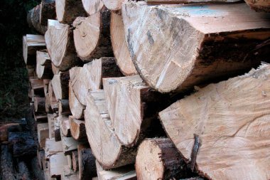 piled up logs or firewood, a renewable energy resource for heating clipart