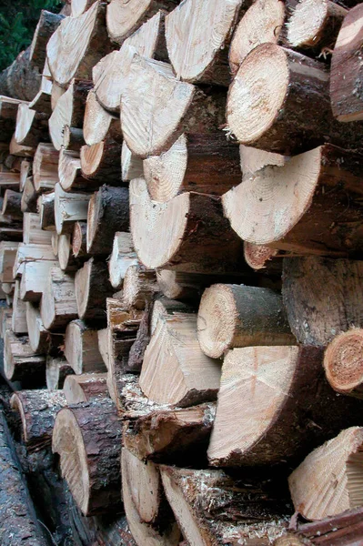 Opgestapelde Houtblokken Brandhout Een Hernieuwbare Energiebron Voor Verwarming — Stockfoto