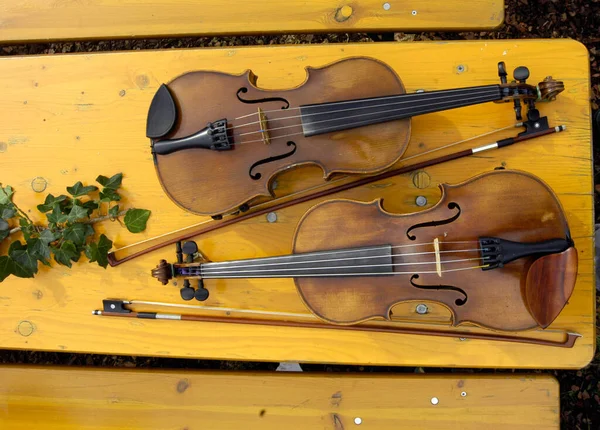 Two Violins Bows Table Wooden String Instruments — Stock Photo, Image