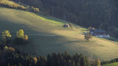 Yazın otlak ve orman, tepelik bir arazi ve güneş.