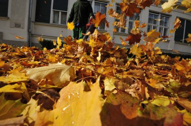 Sonbaharda sokakta sarı, turuncu, kahverengi yapraklar uçuşuyor.