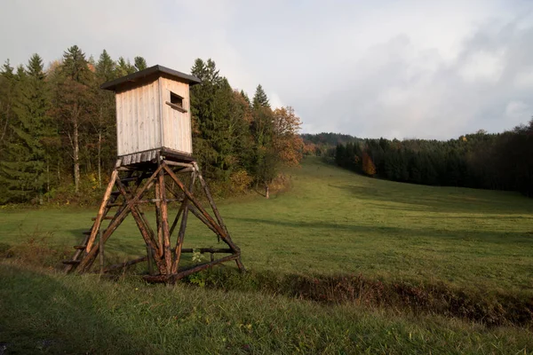 Wooden Raised Hide Green Meadow Forest — Stock Photo, Image