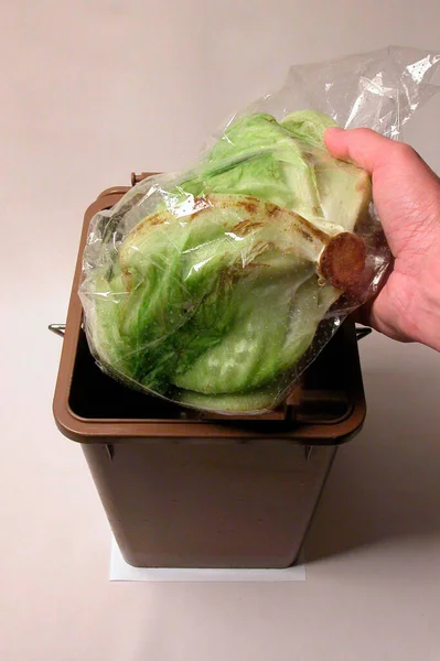 腐烂蔬菜 将生菜倒入可生物降解的褐色垃圾箱 — 图库照片
