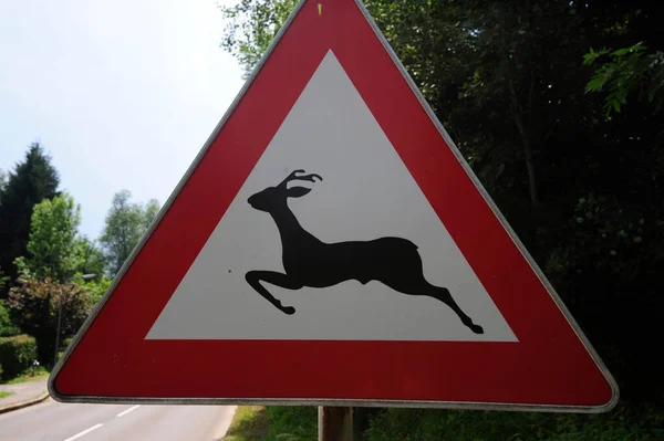 Aandacht Wildlife Kruising Verkeersbord Rode Driehoek Wild Pictogram — Stockfoto