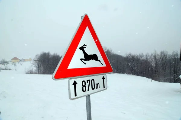 Aandacht Wildlife Kruising Verkeersbord Rode Driehoek Wild Pictogram Winter — Stockfoto