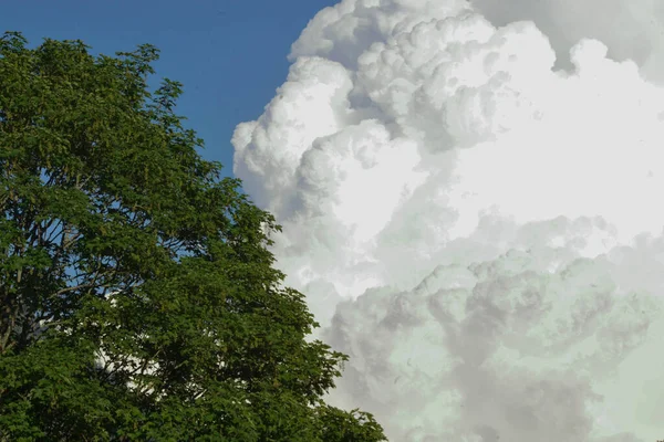 clouds in the blue sky, big white cloud formation and green blooming tree