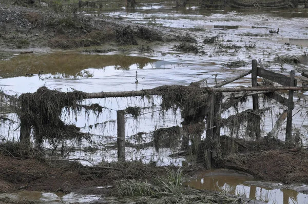 农村被洪水淹没的地区 树枝残破 木制围栏被毁 — 图库照片