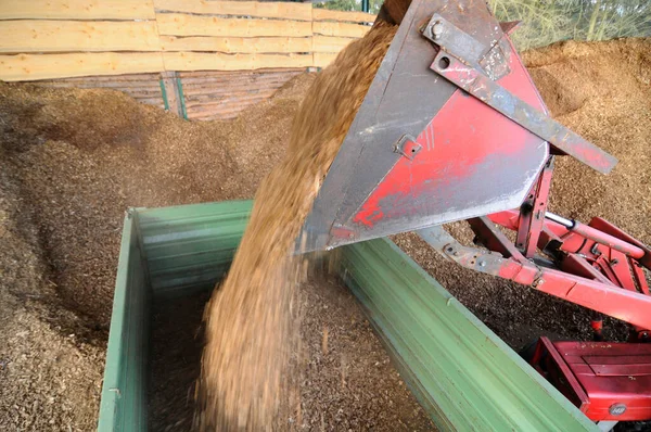 Transport Och Lastning Biomassabränsle Med Traktor — Stockfoto