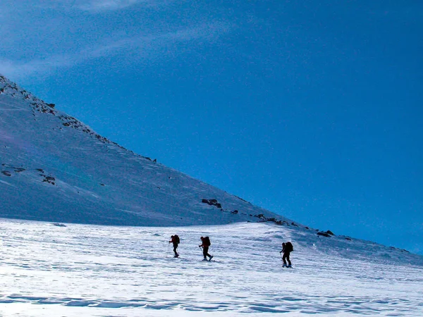Güneşli Bir Kış Gününde Karlı Bir Dağda Kayak Grubu — Stok fotoğraf