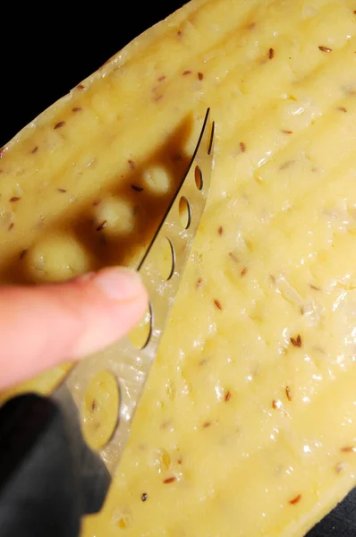 チーズナイフでカロウェイの種でチーズを切る — ストック写真