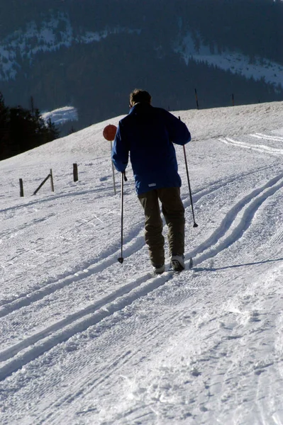 Güneşli Bir Kış Gününde Karlı Bir Kros Yolunda Kayak Yapmak — Stok fotoğraf