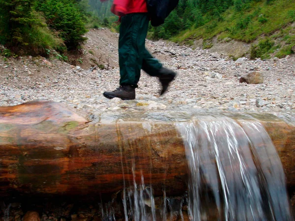 Caminante Caminando Por Arroyo Montaña Paisaje Forestal Los Alpes — Foto de Stock