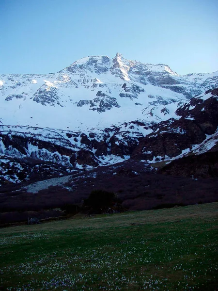 冬の日には雪の山青い空緑の牧草地 — ストック写真
