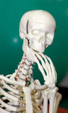 Dişlerinin arasında, yeşil arka planda insan iskeleti.