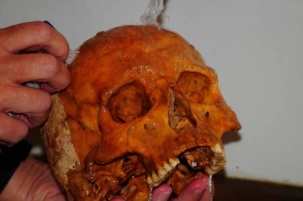 Cráneo Humano Lavando Limpiando Cabeza Con Agua —  Fotos de Stock