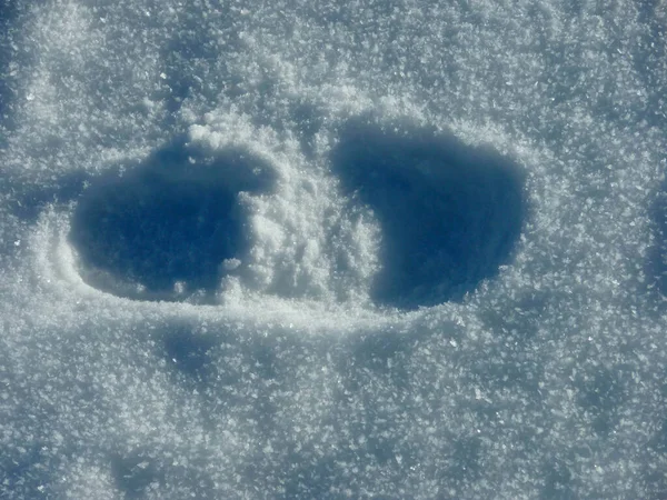 Stampa Piedi Uno Spettacolo Sulla Neve Una Giornata Invernale Soleggiata — Foto Stock