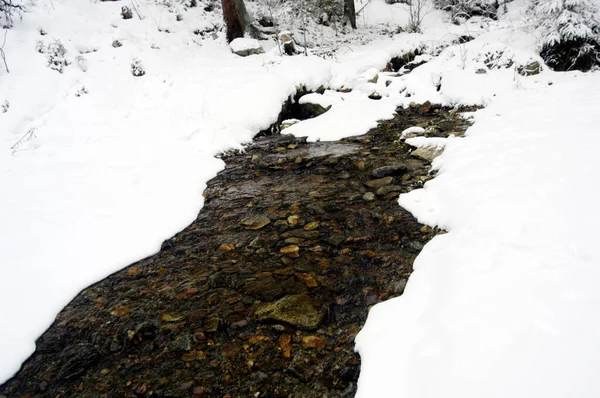 森林里的小溪 覆盖着积雪的风景 — 图库照片
