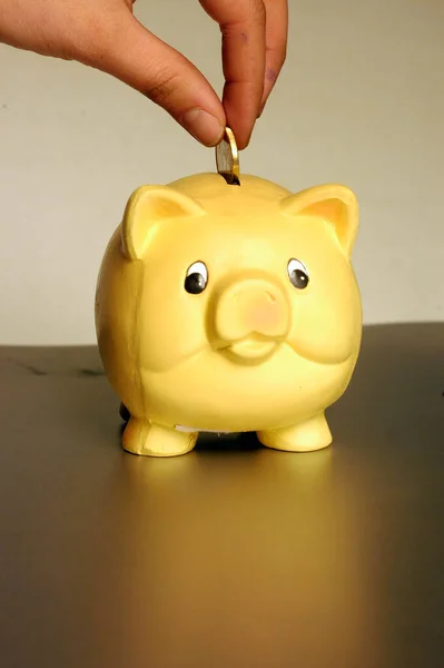 Hand Putting Coin Yellow Piggy Bank — Stock Photo, Image