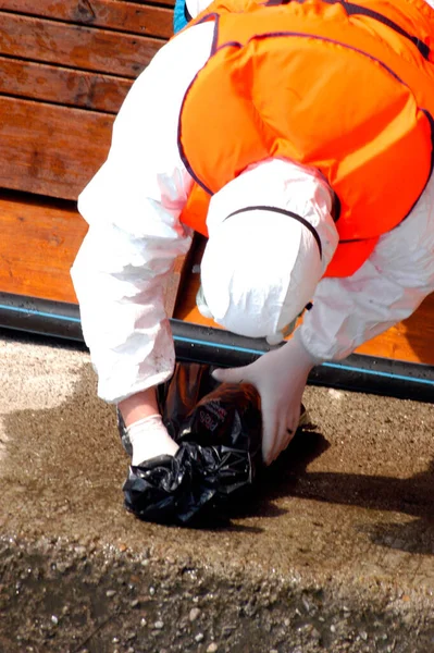 Person Safety Clothing Picking Dead Bird Avian Flu Bird Flu — Stock Photo, Image