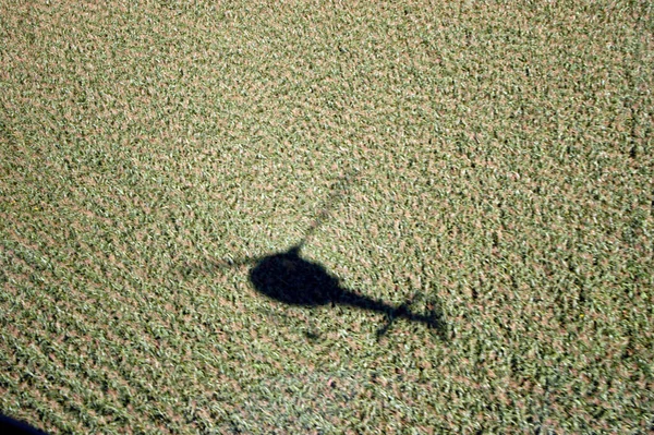 Egy Repülő Helikopter Árnyéka Terepen — Stock Fotó