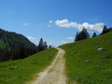 Bir dağ çayırında yol, yeşil çayır, güneşli bir günde mavi gökyüzü.
