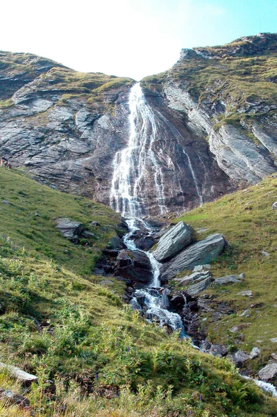 Fjällbäck Skog Alperna Grön Äng Och Fjällsten — Stockfoto