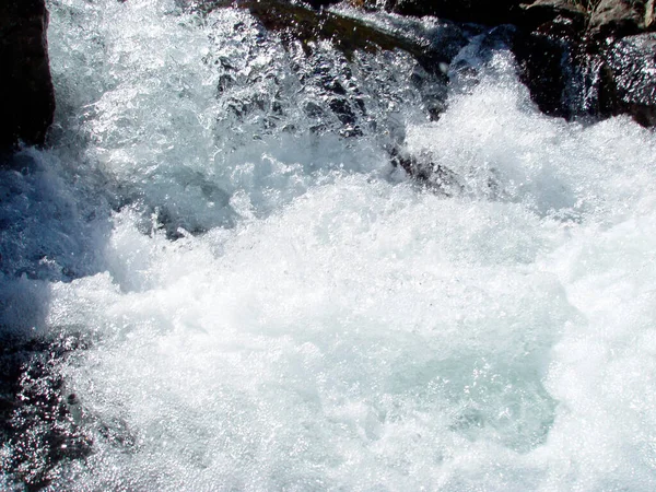 Arroyo Montaña Bosque Los Alpes Primer Plano Del Flujo Agua — Foto de Stock