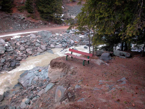 Arroyo Montaña Bosque Los Alpes Suelo Rojo Banco Rojo Árboles —  Fotos de Stock